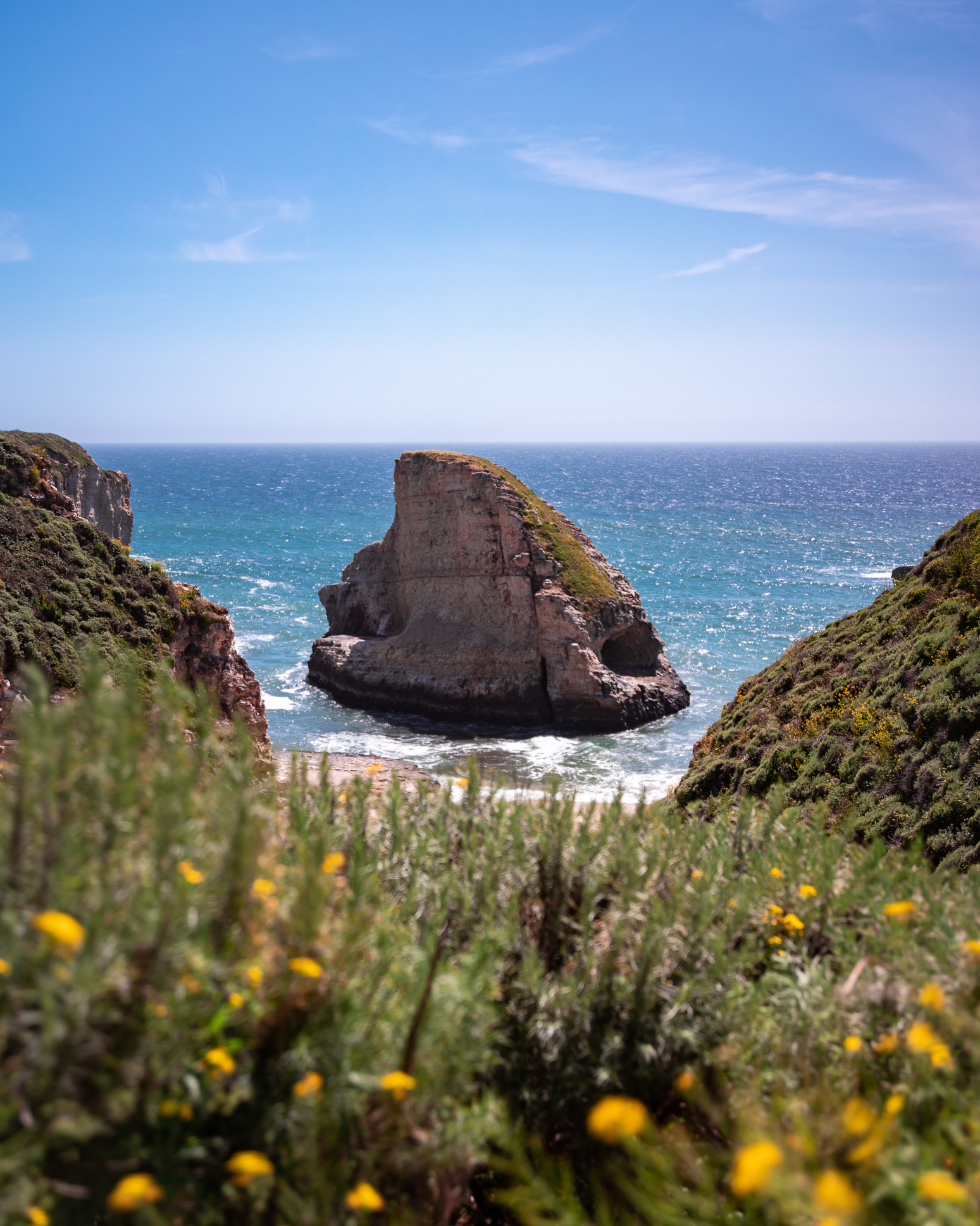 View of Shark Fin Cove in Davenport, CA, with flowers in the forefront.