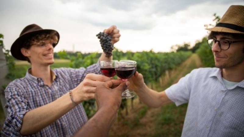 Toast between three wine glasses held by three men in a vineyard.