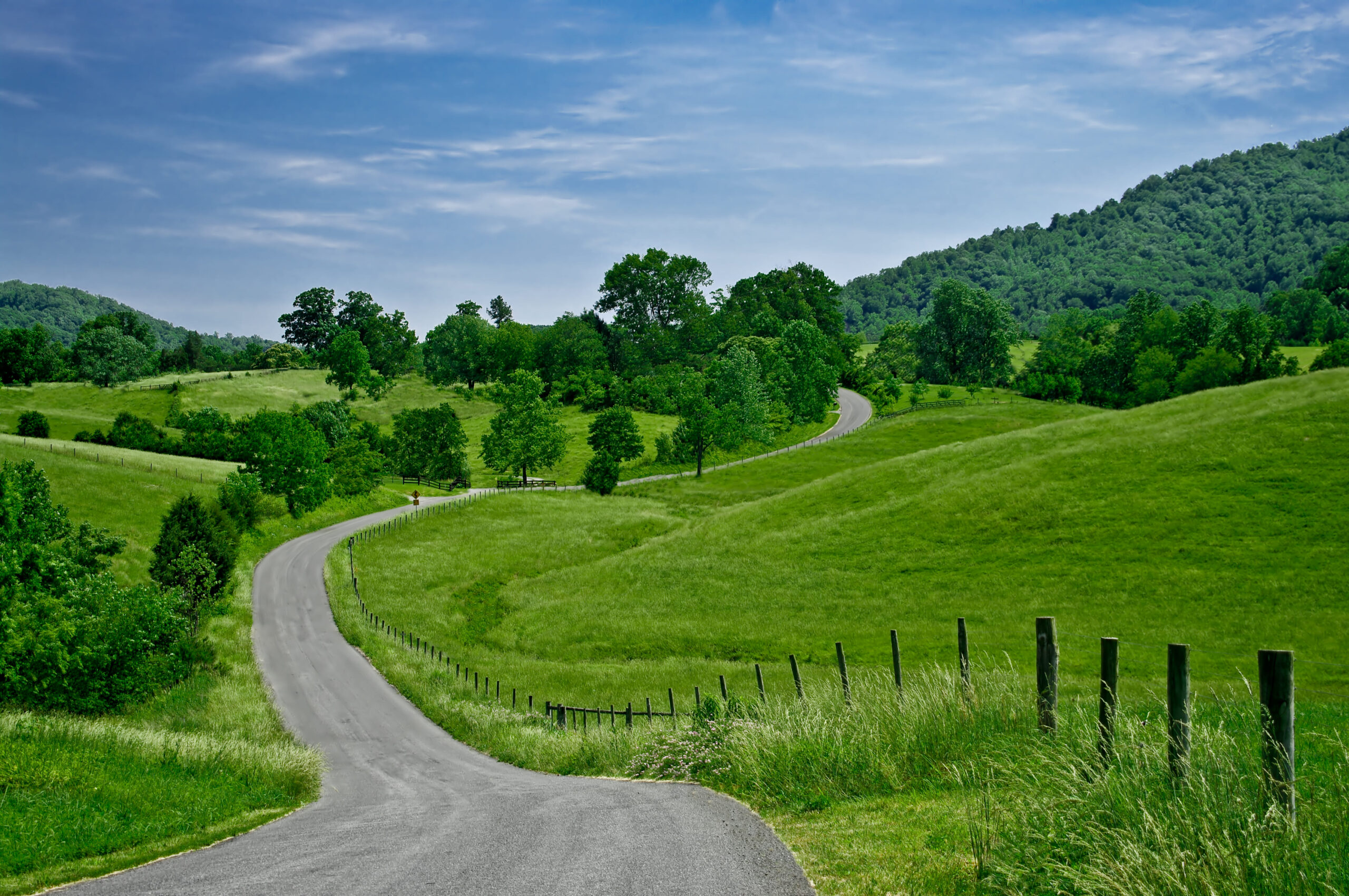 A road winding through the Los Altos Hills in California.