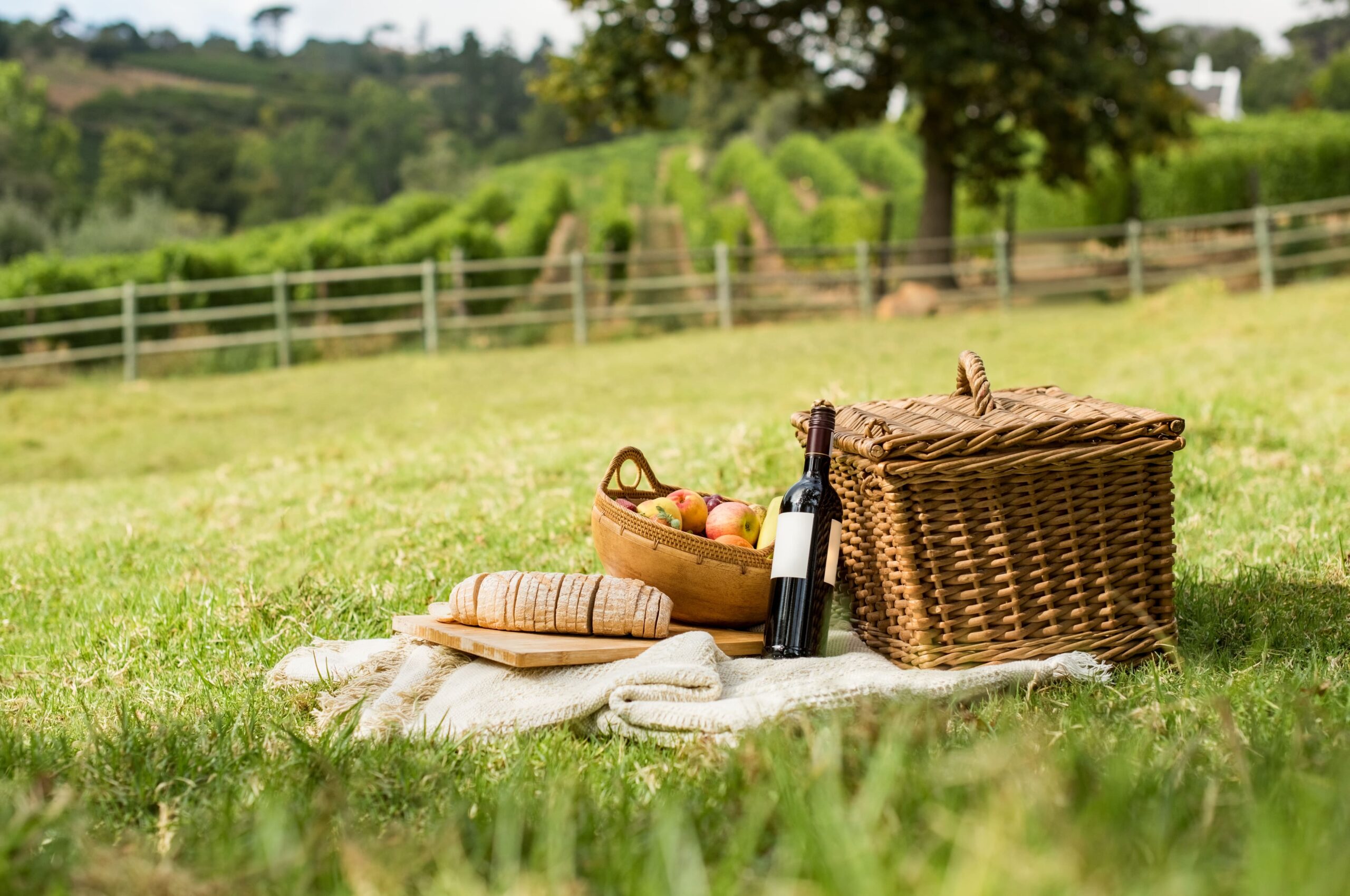 Picnic basket with bread, fresh fruit, and a bottle of red wine set on a blanket in the grass during a sunny outdoor lunch at Portola Vineyards in the Los Altos Hills, with a peaceful vineyard landscape in the background.