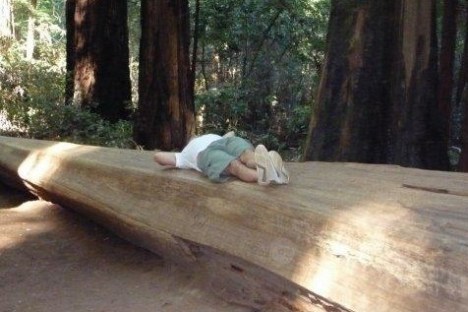 A Wooden Bench Sitting Next To A Tree